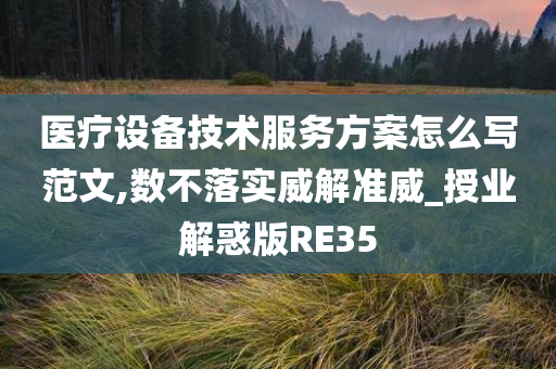 医疗设备技术服务方案怎么写范文,数不落实威解准威_授业解惑版RE3今晚必出三肖2025_2025新澳门精准免费提供·精确判断5