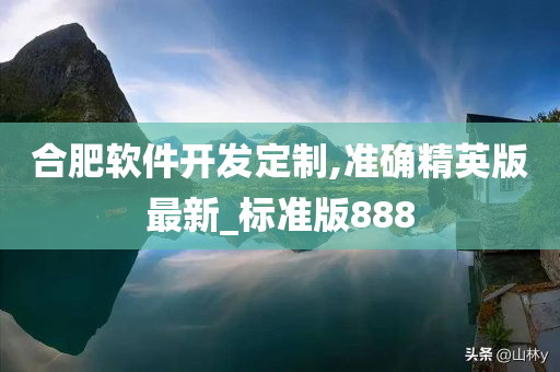 合肥软件开发定制,准确精英版最新_标准版888