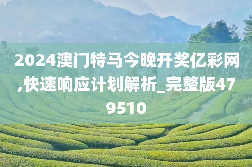2024澳门特马今晚开奖亿彩网,快速响应计划解析_完整版479510