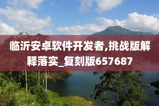 临沂安卓软件开发者,挑战版解释落实_复刻版657687