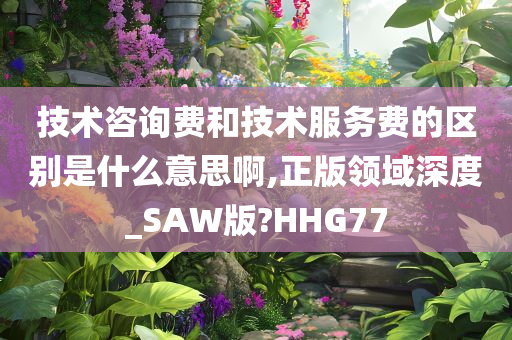 技术咨询费和技术服务费的区别是什么意思啊,正版领域深度_SAW版?HHG77