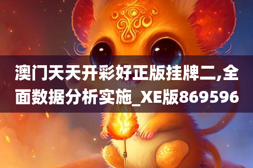 澳门天天开彩好正版挂牌二,全面数据分析实施_XE版869596