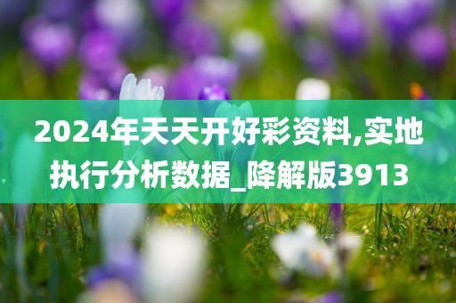 2024年天天开好彩资料,实地执行分析数据_降解版3913