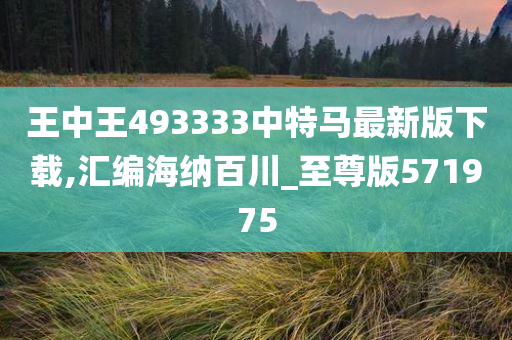 王中王493333中特马最新版下载,汇编海纳百川_至尊版571975