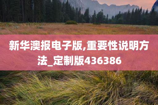 新华澳报电子版,重要性说明方法_定制版436386