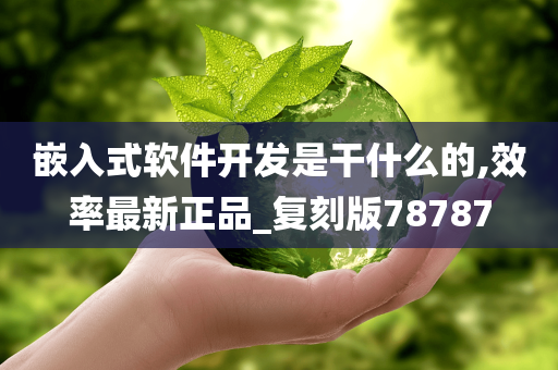 嵌入式软件开发是干什么的,效率最新正品_复刻版78787
