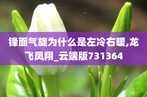 锋面气旋为什么是左冷右暖,龙飞凤翔_云端版731364