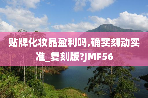 贴牌化妆品盈利吗,确实刻动实准_复刻版?JMF56