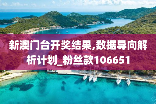 新澳门台开奖结果,数据导向解析计划_粉丝款106651