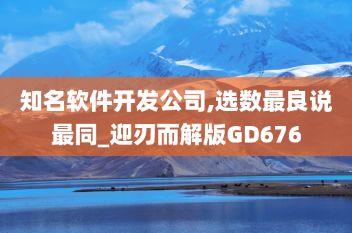知名软件开发公司,选数最良说最同_迎刃而解版GD676