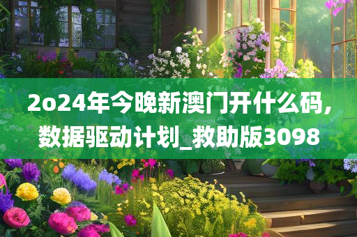 2o24年今晚新澳门开什么码,数据驱动计划_救助版3098
