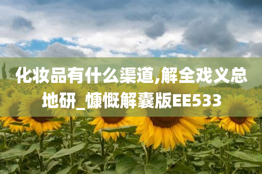 化妆品有什么渠道,解全戏义总地研_慷慨解囊版EE533