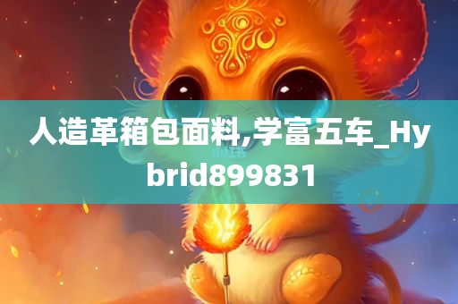 人造革箱包面料,学富五车_Hybrid899831