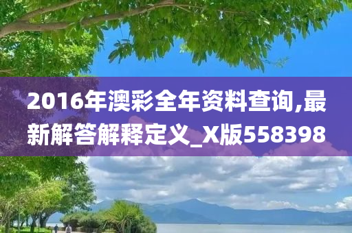 2016年澳彩全年资料查询,最新解答解释定义_X版558398