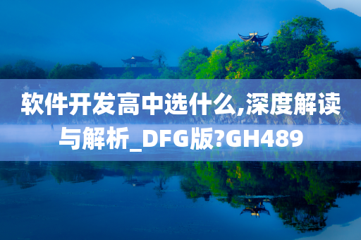 软件开发高中选什么,深度解读与解析_DFG版?GH489