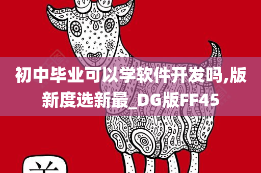 初中毕业可以学软件开发吗,版新度选新最_DG版FF45