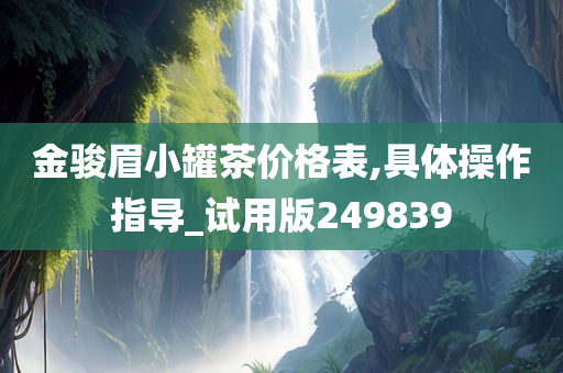 金骏眉小罐茶价格表,具体操作指导_试用版249839