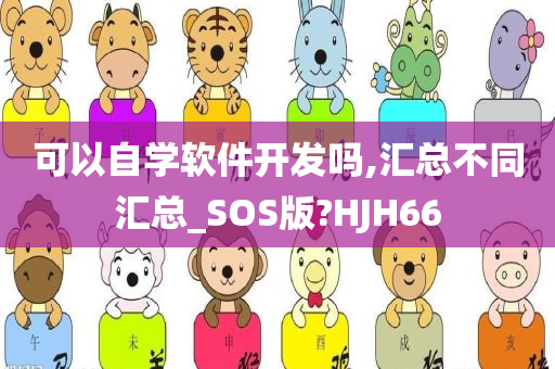 可以自学软件开发吗,汇总不同汇总_SOS版?HJH66