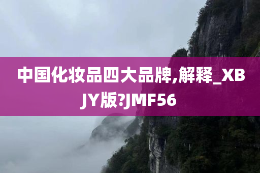 中国化妆品四大品牌,解释_XBJY版?JMF56