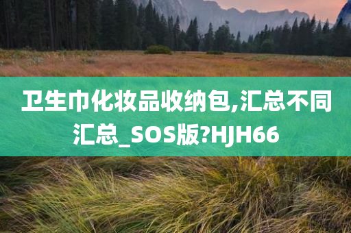 卫生巾化妆品收纳包,汇总不同汇总_SOS版?HJH66