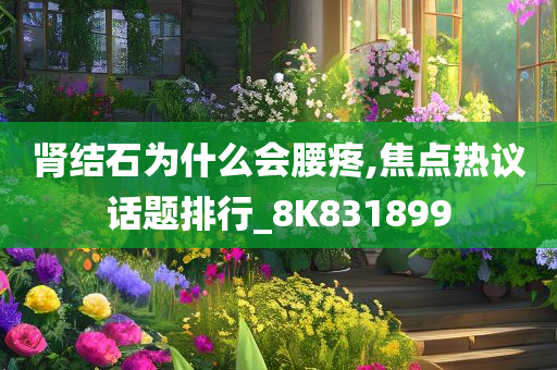 肾结石为什么会腰疼,焦点热议话题排行_8K831899