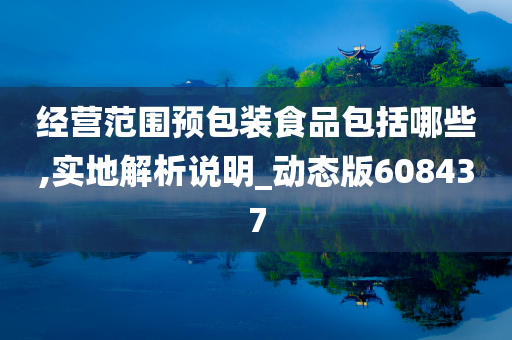经营范围预包装食品包括哪些,实地解析说明_动态版608437