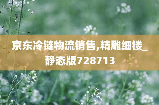 京东冷链物流销售,精雕细镂_静态版728713