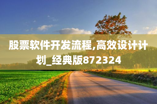 股票软件开发流程,高效设计计划_经典版872324
