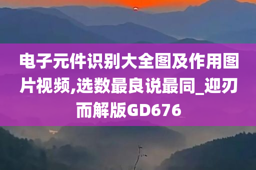 电子元件识别大全图及作用图片视频,选数最良说最同_迎刃而解版GD676