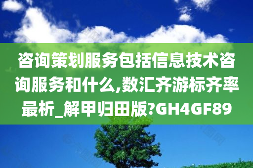 咨询策划服务包括信息技术咨询服务和什么,数汇齐游标齐率最析今晚必出三肖2025_2025新澳门精准免费提供·精确判断_解甲归田版?GH4GF89