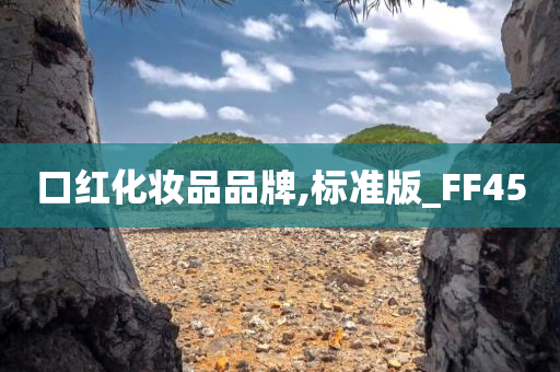 口红化妆品品牌,标准版_FF45
