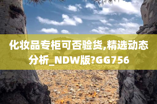化妆品专柜可否验货,精选动态分析_NDW版?GG756