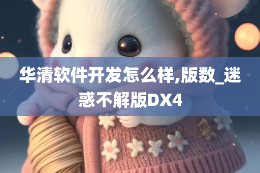 华清软件开发怎么样,版数_迷惑不解版DX4