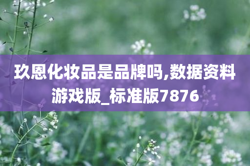 玖恩化妆品是品牌吗,数据资料游戏版_标准版7876
