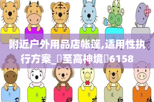附近户外用品店帐篷,适用性执行方案_?至高神境?6158