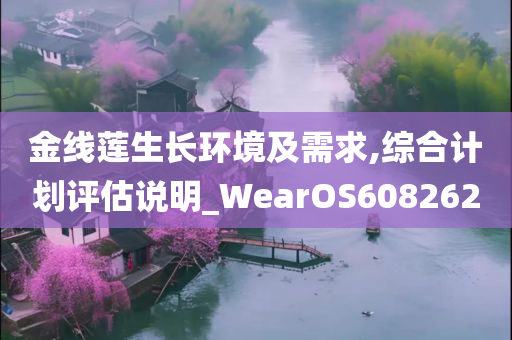 金线莲生长环境及需求,综合计划评估说明_WearOS608262