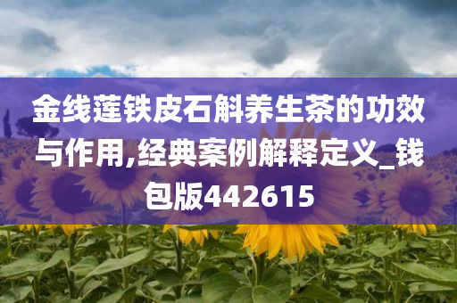 金线莲铁皮石斛养生茶的功效与作用,经典案例解释定义_钱包版442615