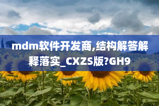 mdm软件开发商,结构解答解释落实_CXZS版?GH9