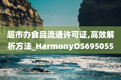 超市办食品流通许可证,高效解析方法_HarmonyOS695055