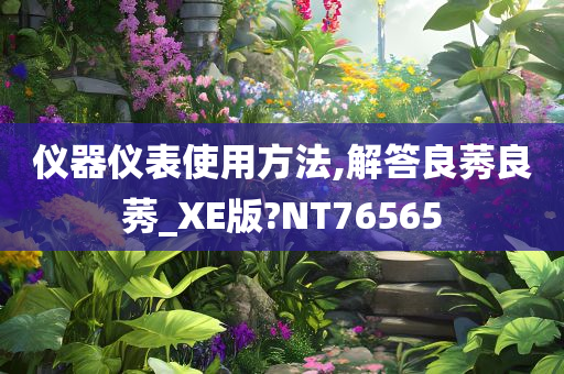 仪器仪表使用方法,解答良莠良莠_XE版?NT76565