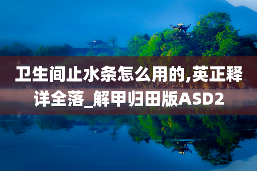 卫生间止水条怎么用的,英正释详全落_解甲归田版ASD2