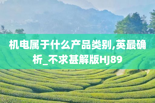 机电属于什么产品类别,英最确析_不求甚解版HJ89