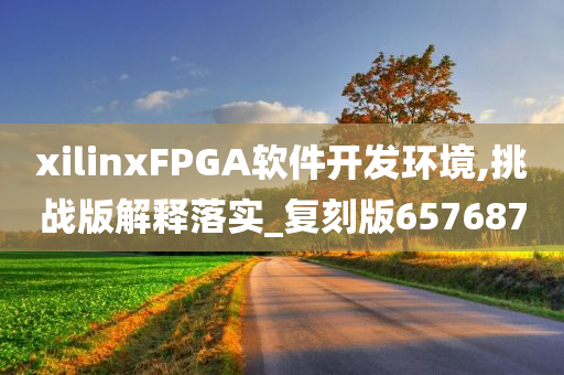 xilinxFPGA软件开发环境,挑战版解释落实_复刻版657687