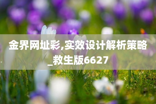 金界网址彩,实效设计解析策略_救生版6627