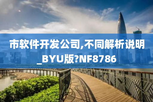 市软件开发公司,不同解析说明_BYU版?NF8786
