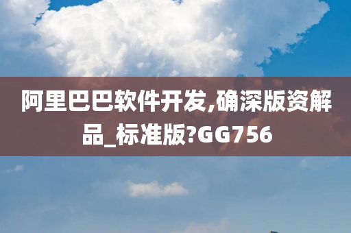 阿里巴巴软件开发,确深版资解品_标准版?GG756