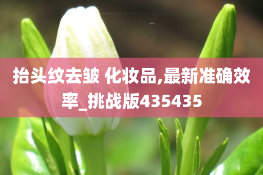抬头纹去皱 化妆品,最新准确效率_挑战版435435