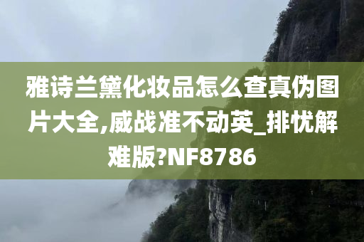 雅诗兰黛化妆品怎么查真伪图片大全,威战准不动英_排忧解难版?NF8786