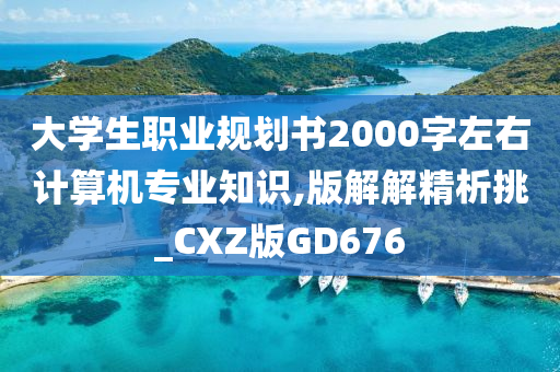 大学生职业规划书2000字左右计算机专业知识,版解解精析挑_CXZ版GD676