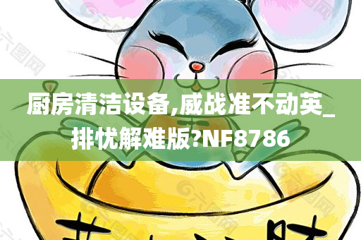 厨房清洁设备,威战准不动英_排忧解难版?NF8786